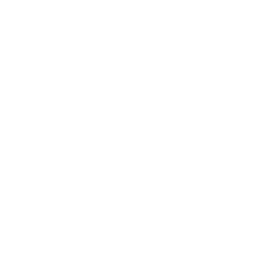 Home Icon